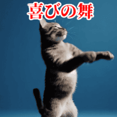 激しく動く！うざいねこ！