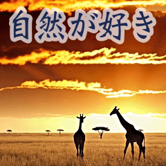 背景が動く▶︎自然が好き-サバンナ・北極-