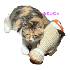 三毛猫のきなちゃん