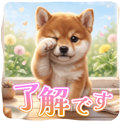 使いやすい敬語☆豆柴