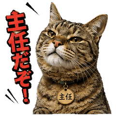 主任猫のきびしい愛