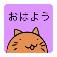 猫太郎8
