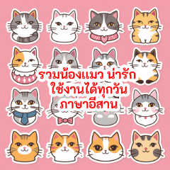 My Cute Cat Digital Stickers