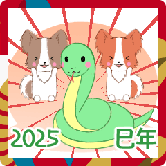 飛び出す！ちびパピヨン2025【あけおめ】