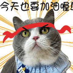 Short-legged Manchiken Mushroom 2.0