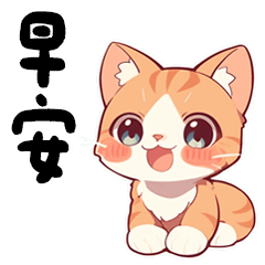 Cute orange cat-2