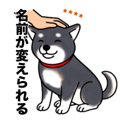 名前入り黒しば