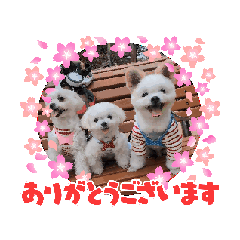 りおん&ふらん&まりんの日常スタンプ【2】