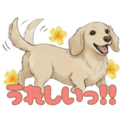 毎日使える！愛嬌たっぷりダックスフンド