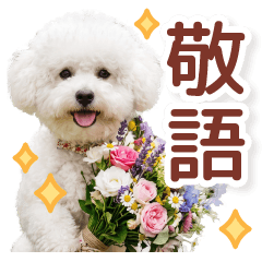 毎日使える♪リアルな愛されホワイトわんこ