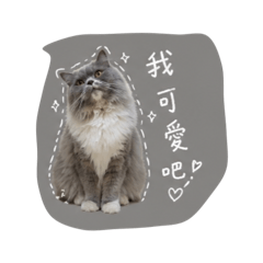 Luchin_20260430193654