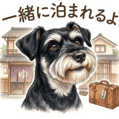 愛犬情報共有用・シュナウザー(黒&銀)