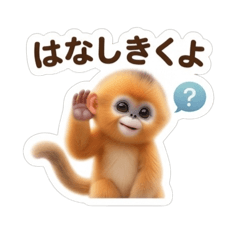 キンシコウ 小栗（シャオリー） 可愛い日常