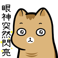 Sugar cat Po-gi No.8- mood & expression