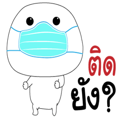 Round head dookdik fight to covid.