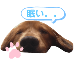 チワックス Lineスタンプ Lineスタンプマニア クリエイターズスタンプ