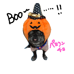 ぽこぺ3ぱぐ♥️