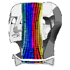 ロス・カラクテレス・インディビドゥアレス