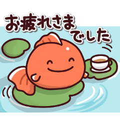 金魚の日常色々2