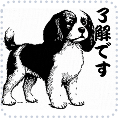 犬の メッセージ スタンプ 36