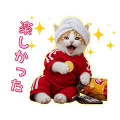 AI猫にゃんこちん　第二弾