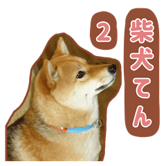柴犬てんのスタンプ2