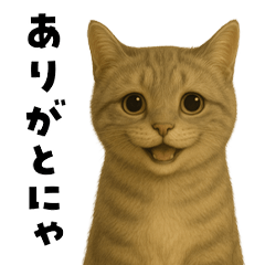 タビー猫　-日常会話-