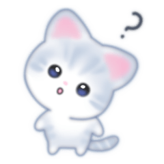 ふわふわ、ぬくぬくの子猫