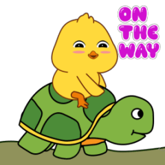 Cici chicks : animated