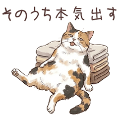 無気力にゃんこ.