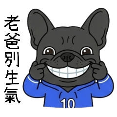 フレンチブルドッグ(^^)パパ、怒らないで！
