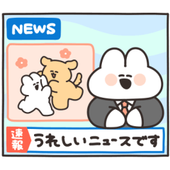 ニュースのうさちゃん