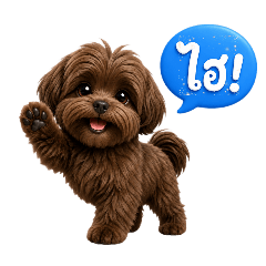 Little Choco Dog