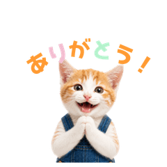AI　にゃんこちん　第五弾