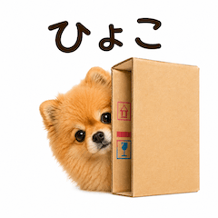 「ポメめる」の日常