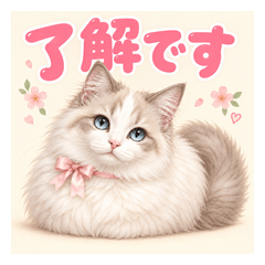 ふわふわ白猫♡やさしい毎日ことば