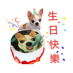 Ji sister_20190425013957