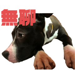 Mochi  mochi so cute