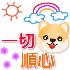 Cute Shiba - Practical  greetings