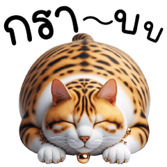 A fat, tense tiger-striped cat