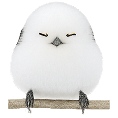 シマエナガしーの日常スタンプ