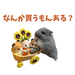 ハムスターのおそばちゃん1