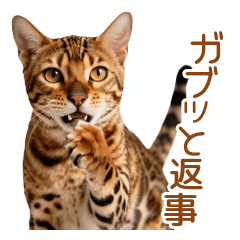 愛が重すぎて噛むベンガル猫