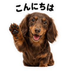 ダックスといつも一緒！Ver.4