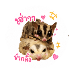 Pimnipa Saikamwong_20260501171709