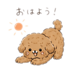 毎日あいさつプードル