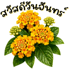 Hello Monday4