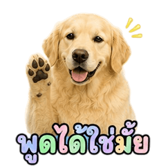 Funny Golden Retriever V.7