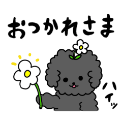 時々クセ強トイプーのゆるい日常【黒】