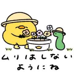 気遣うへんてこなヒヨコ
